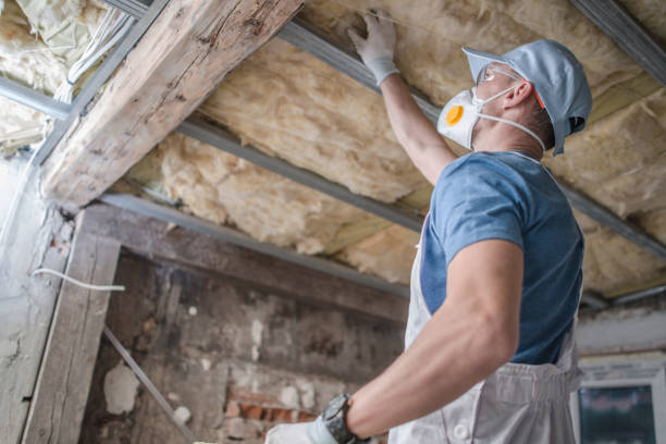 Best Insulation Maintenance and Repair in Meadville, PA
